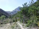 dscf7238