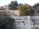 DSCF8481