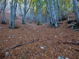 P1050614