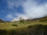 P1050628