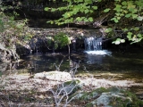P1050646