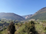P1050657