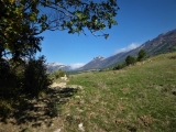 P1050658