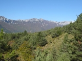 P1050662