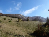 P1050671