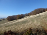 P1050676
