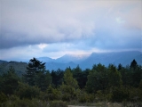P1130359