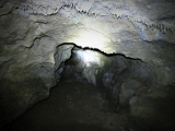 P1130391