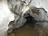 P1130398