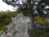 P1130406