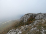P1130421