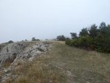 P1130422
