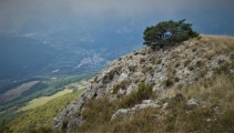 P1130430