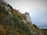 P1130451