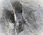 P1130452