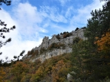 P1130455