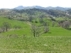 p1030549