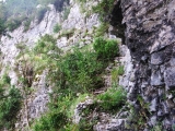 dscf1196