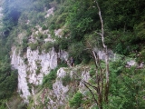 dscf1199