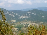 p1000655
