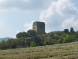 p1000695
