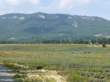 p1000699