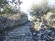 DSCF3826