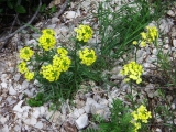 dscf8946