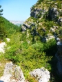 p1060441