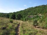 dscf9683