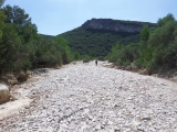 dscf9711