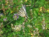 dscf9762