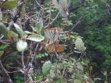 dscf9776