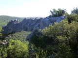 p1030227