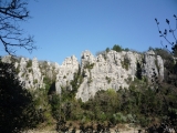 p1030499