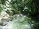 DSCF2771