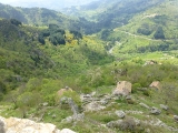 p1040490