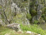 p1040501