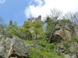 p1040547
