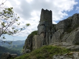 p1040551