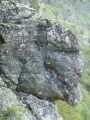 p1040564
