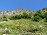 p1020255