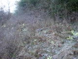 dsc03672