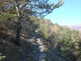 dsc03678