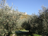 dscf3024_0