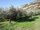 dscf3025_0