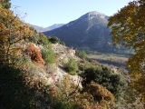 dscf3029_0