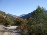 dscf3036_0