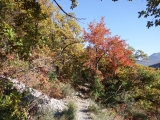 dscf3041_0
