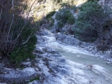 dscf3058_0